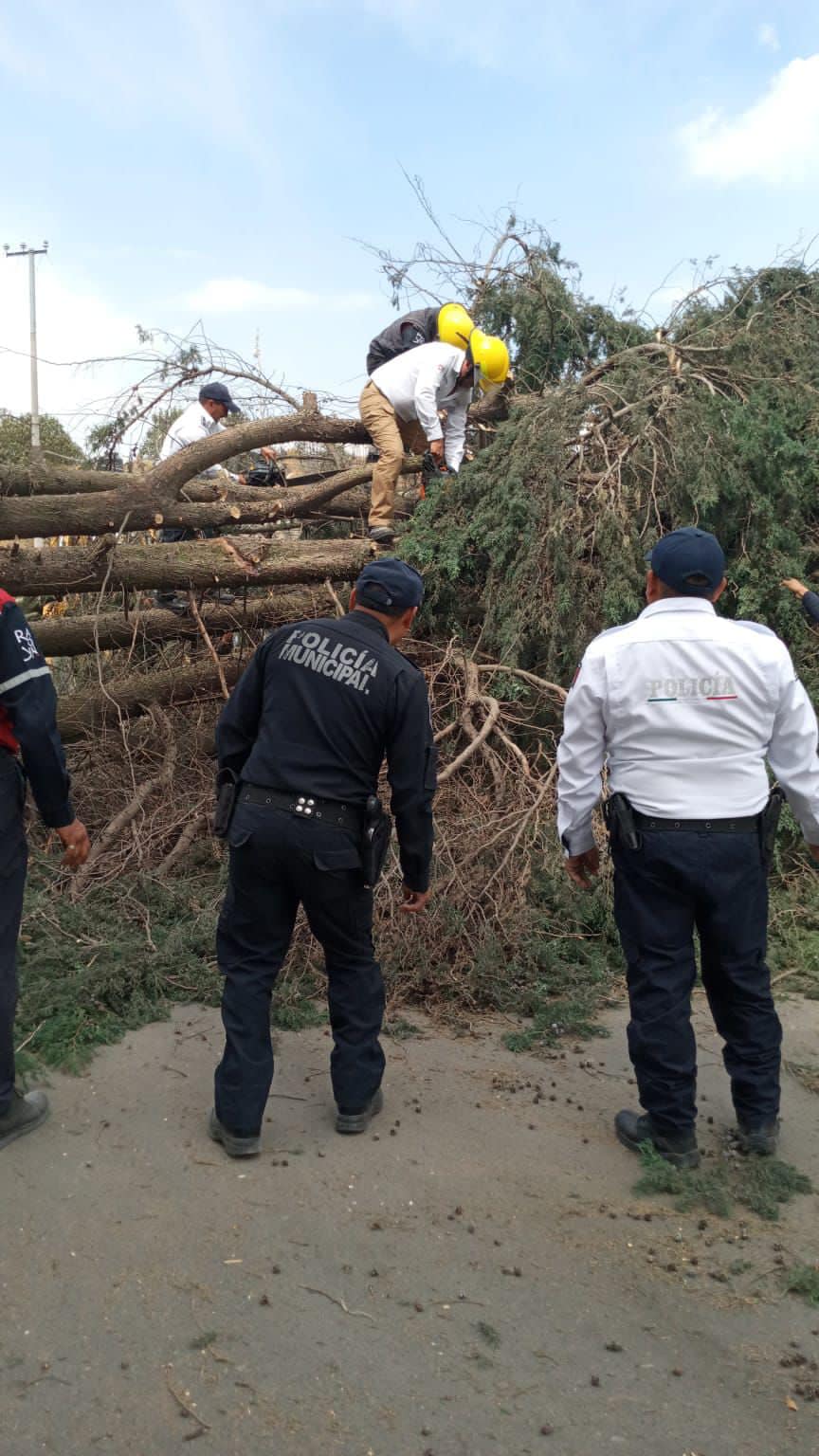 1678899885 Por instrucciones del presidente municipal de Tenango del Valle Roberto