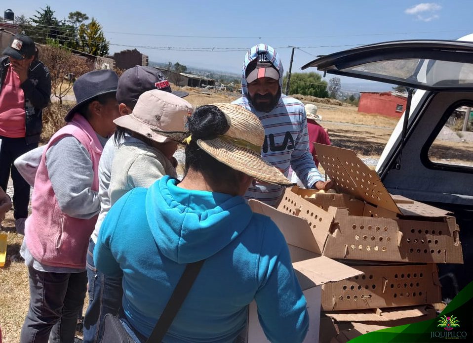 1678900941 167 Continuamos entregando paquetes de pollos a bajo costo con el