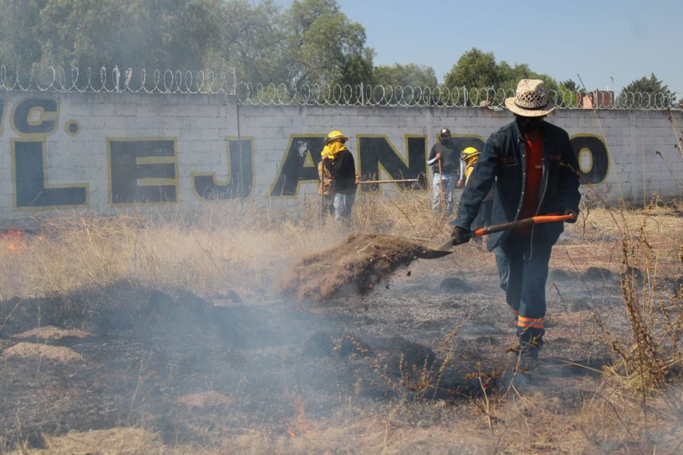 1678907605 422 La Direccion de Ecologia de Otumba gestiono ante PROBOSQUE del