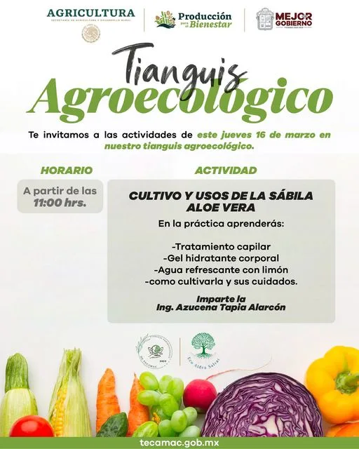 1678914559 Te invitamos a acudir a nuestro TianguisAgroecologico este jueves 16 jpg