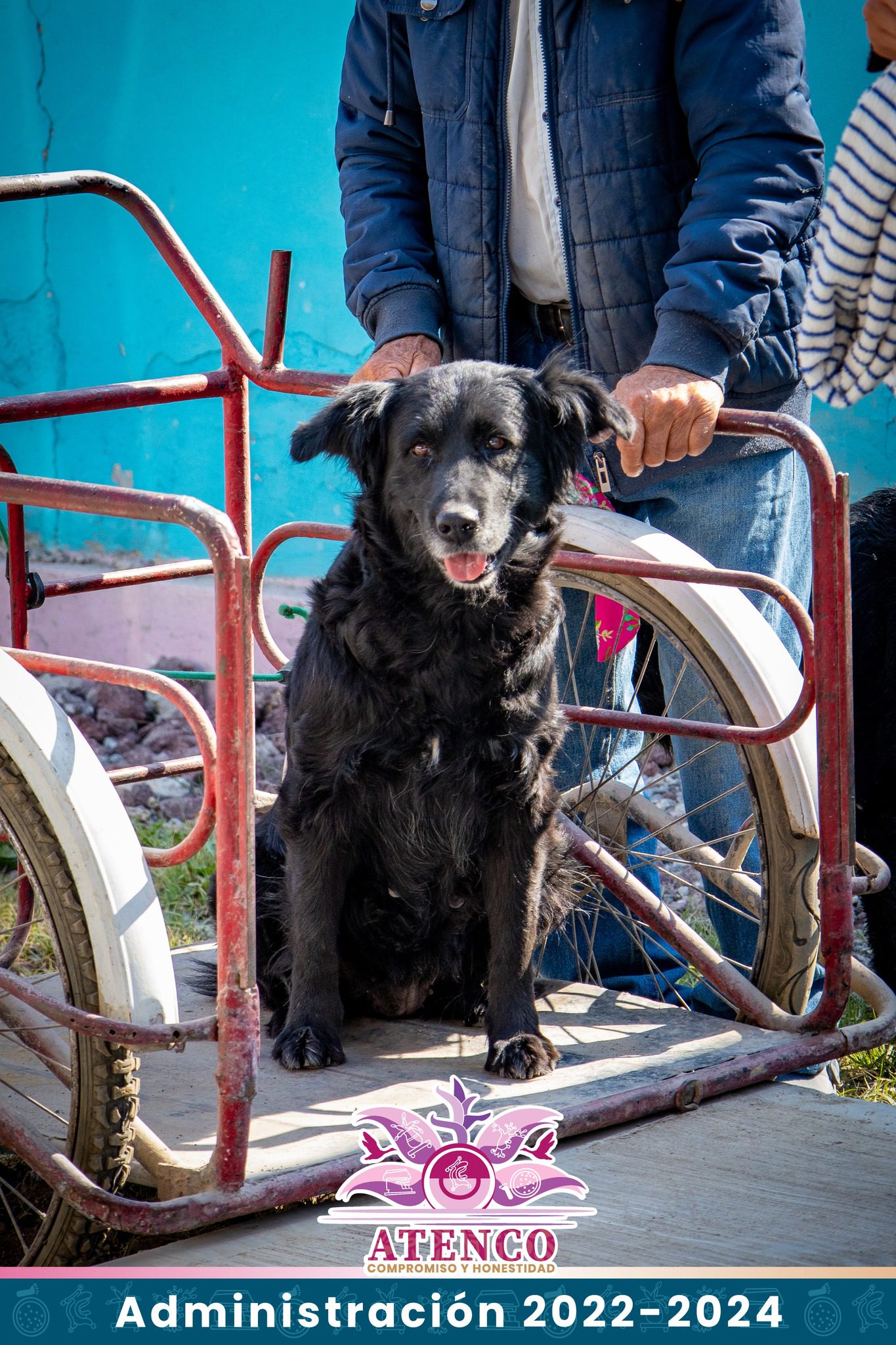 1678916836 775 TERCERA JORNADA DE ESTERILIZACION CANINA Y FELINA 2023