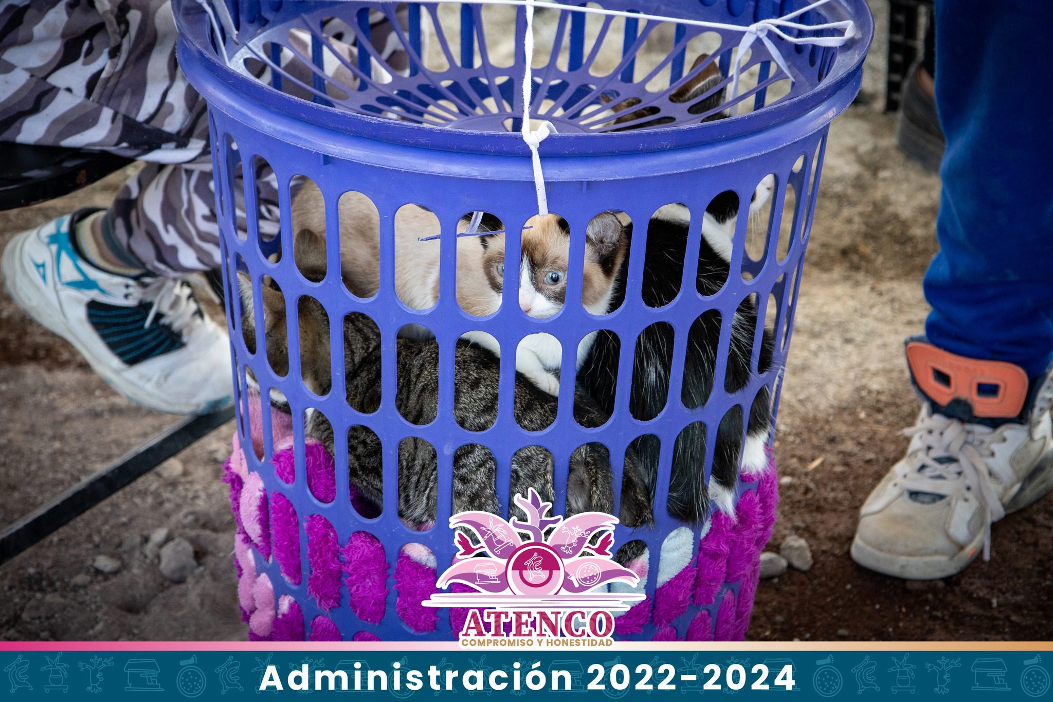 1678916843 37 TERCERA JORNADA DE ESTERILIZACION CANINA Y FELINA 2023