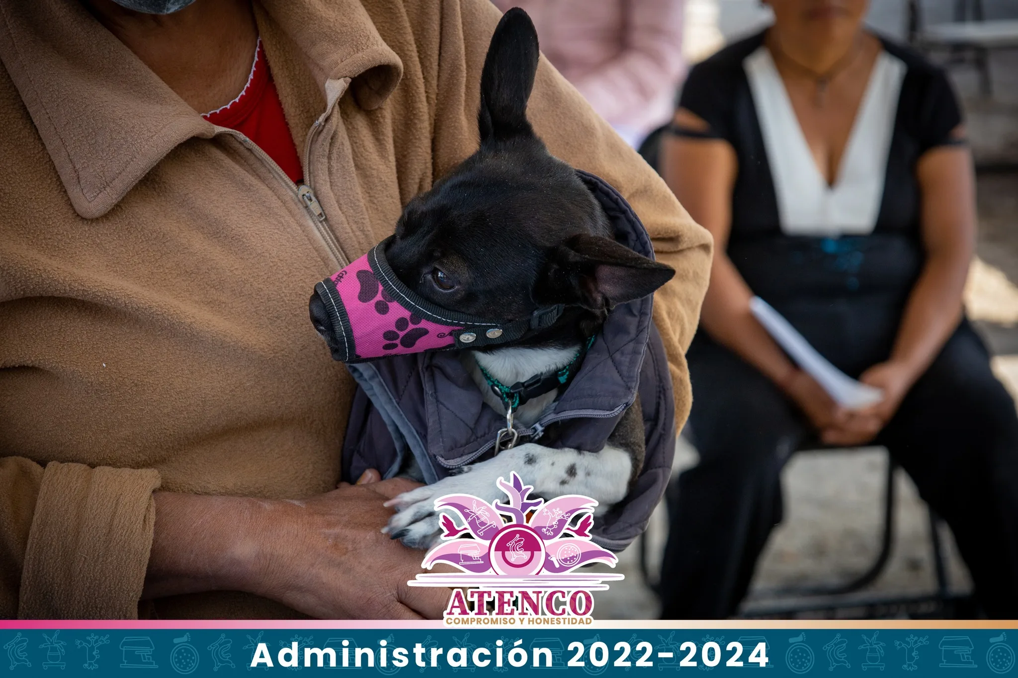 1678916871 TERCERA JORNADA DE ESTERILIZACION CANINA Y FELINA 2023 jpg