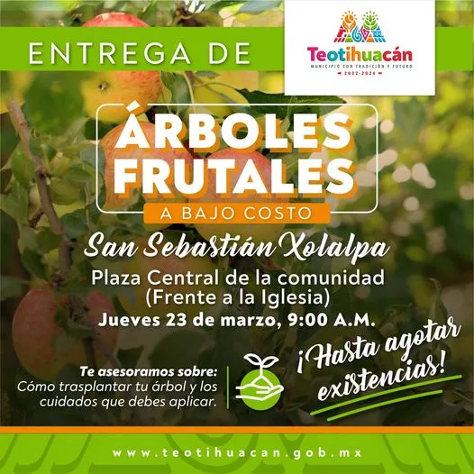 1678921456 Entrega de arboles frutales a bajo costo jpg