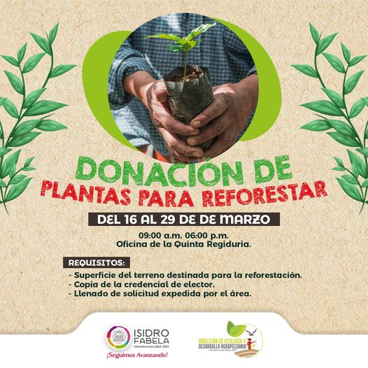 1678922958 Con el fin de incentivar la reforestacion la Quinta Regiduria