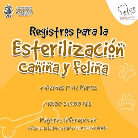 1678923856 Continuando con la ESTERILIZACION DE PERROS Y GATOS la jpg