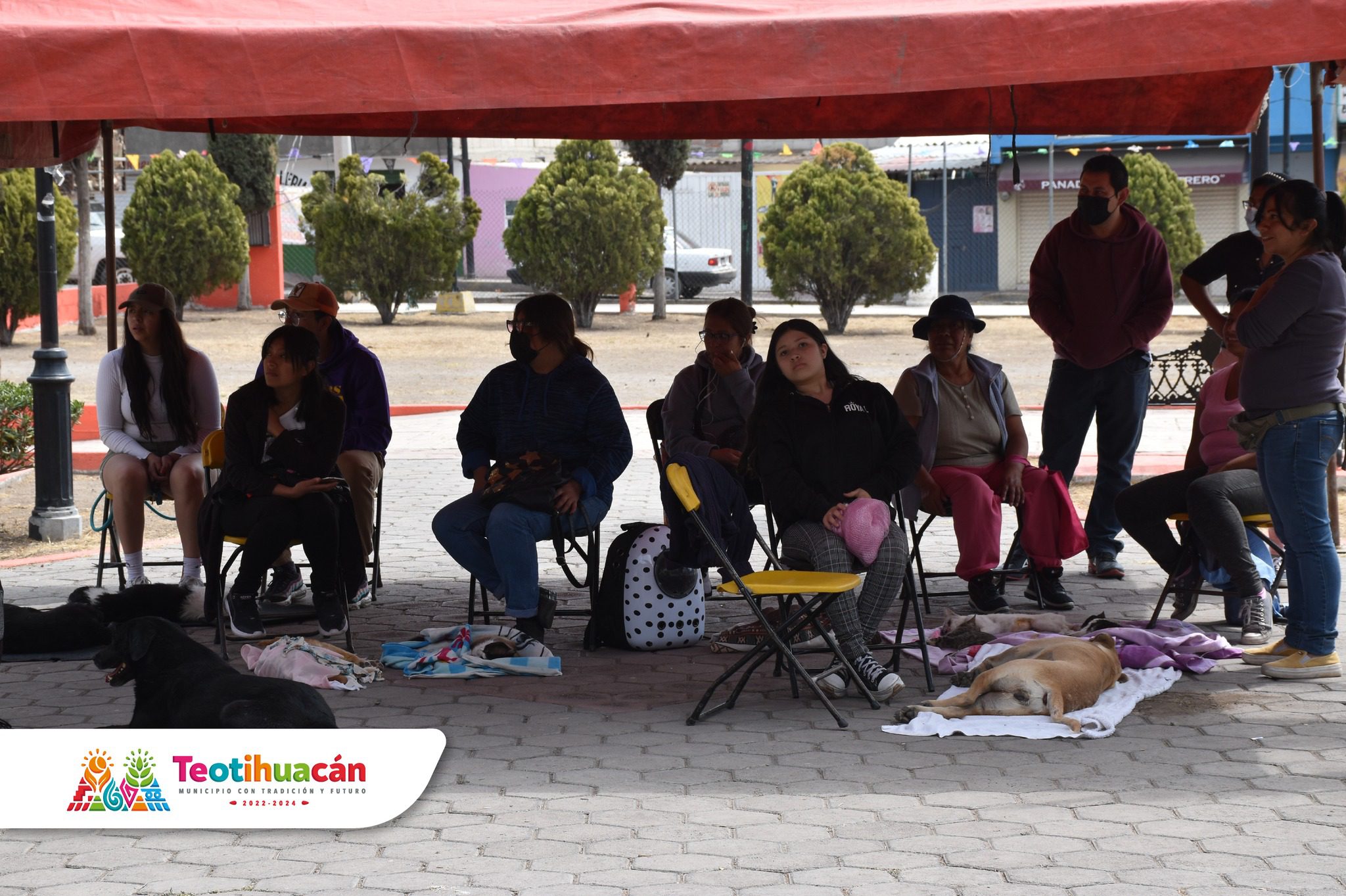 1678971434 332 Dimos por finalizada la jornada de esterilizacion gratuita en la