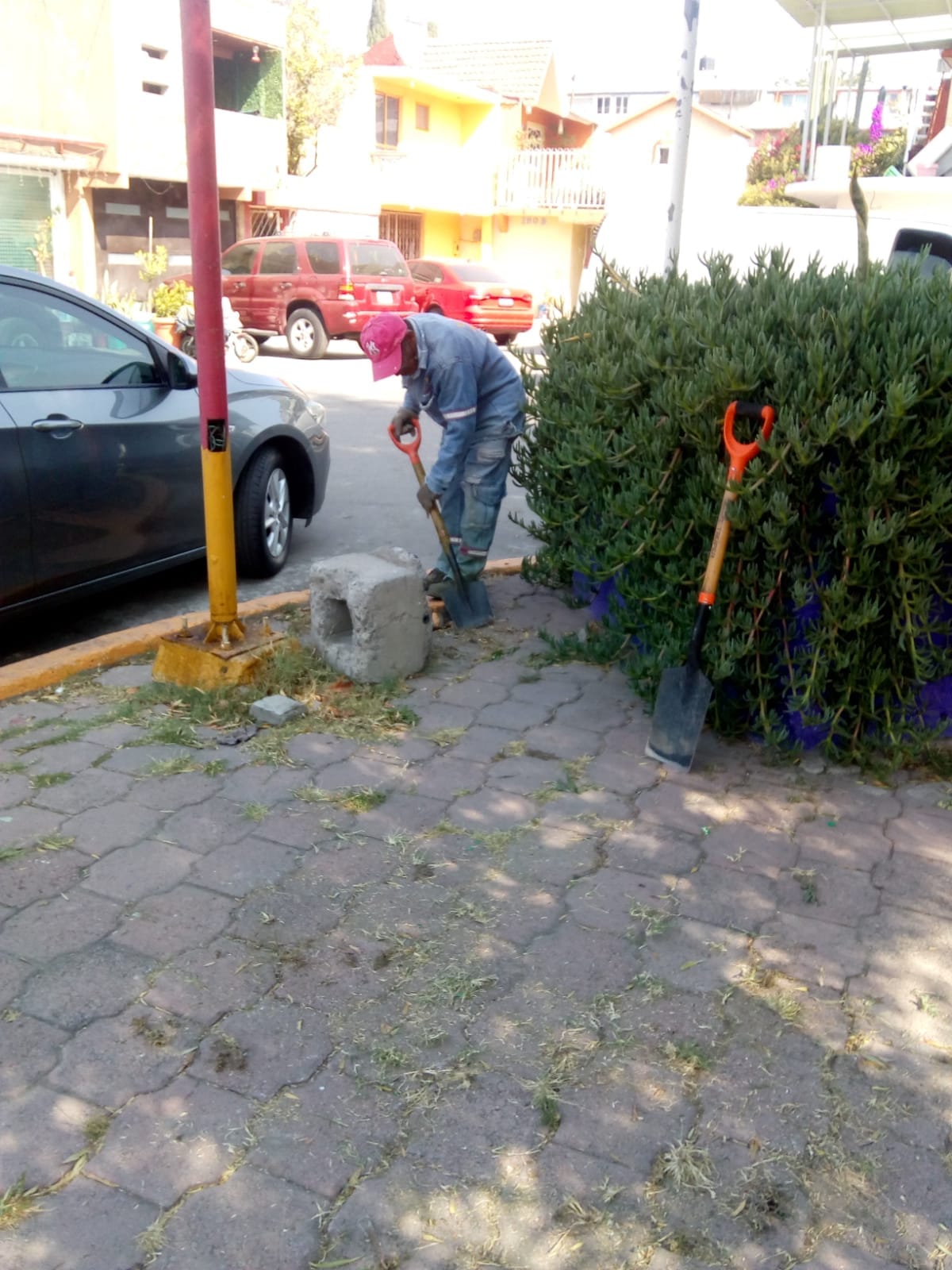 1678987344 897 El Gobierno Municipal de Jaltenco que preside la C Rosario