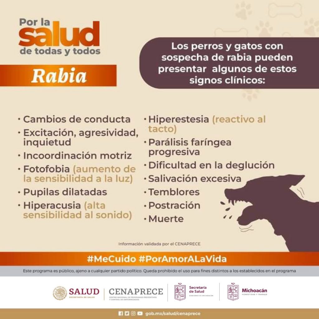 1679002881 33 ¿Sabias que La rabia es una enfermedad viral que afecta