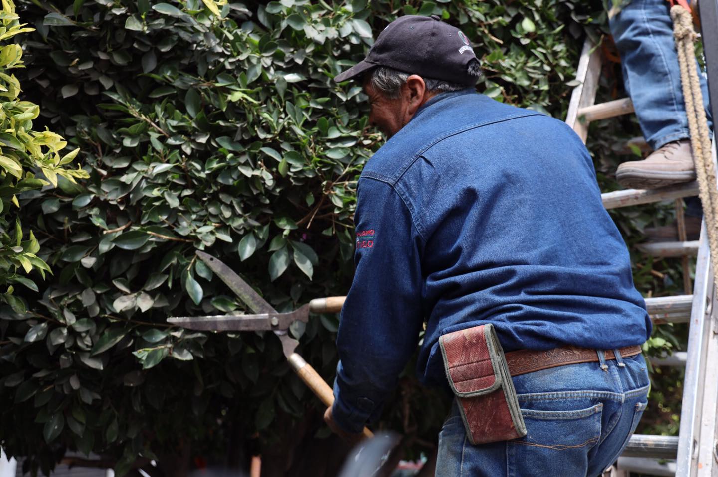 1679059395 666 Huehuetoca mas ordenado y limpio Nuestros companeros de Imagen