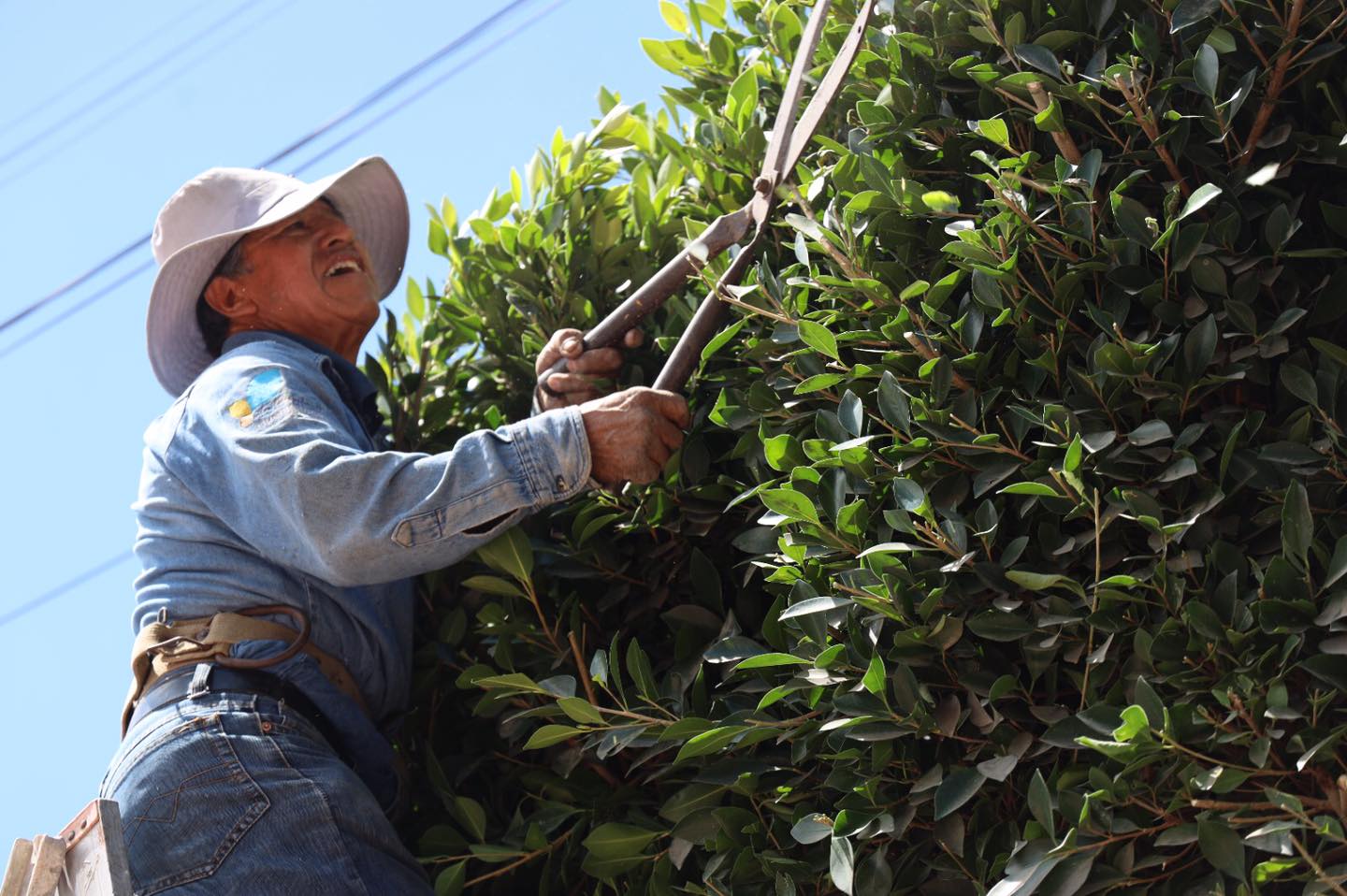 1679059398 687 Huehuetoca mas ordenado y limpio Nuestros companeros de Imagen