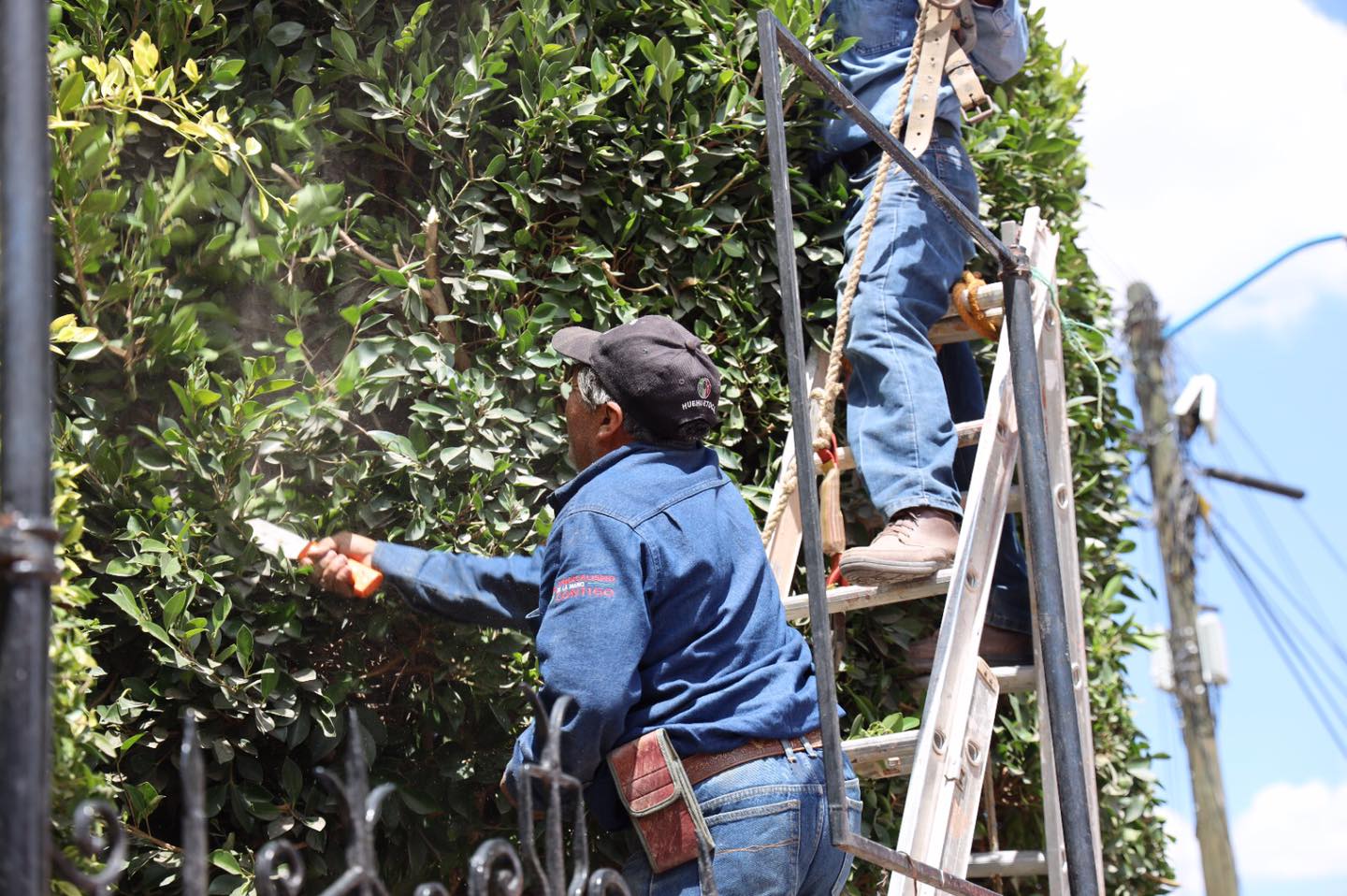 1679059402 178 Huehuetoca mas ordenado y limpio Nuestros companeros de Imagen