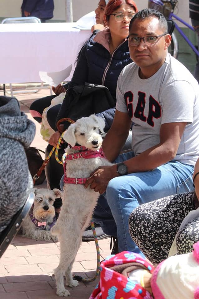 1679074096 754 EN BARRIO FUNDIDORES REALIZAN JORNADA DE ESTERILIZACION CANINA Y FELINA