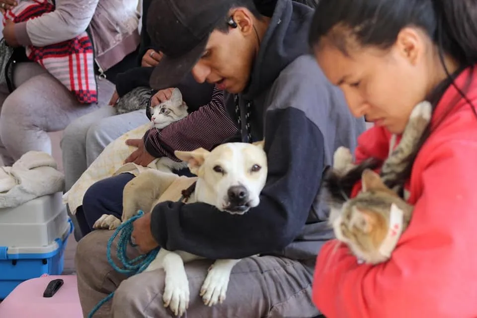 1679074128 EN BARRIO FUNDIDORES REALIZAN JORNADA DE ESTERILIZACION CANINA Y FELINA jpg