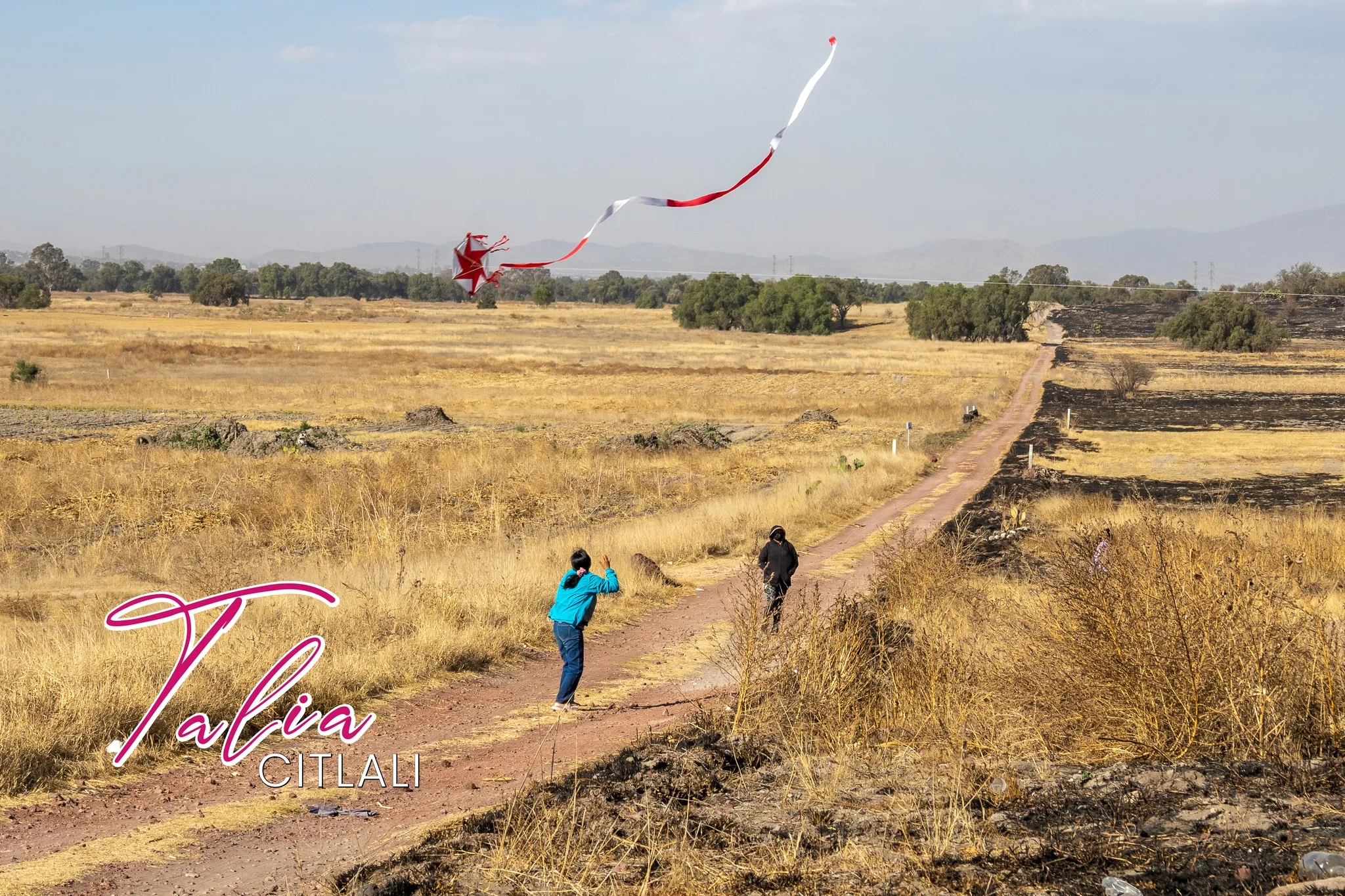 1679183781 A traves de nuestra direccion de Desarrollo Urbano se llevo jpg