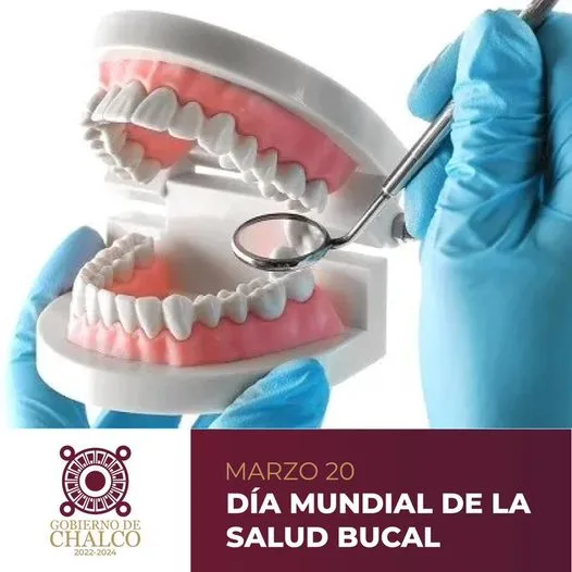 1679354554 La buena salud bucal es un indicativo de que todo jpg