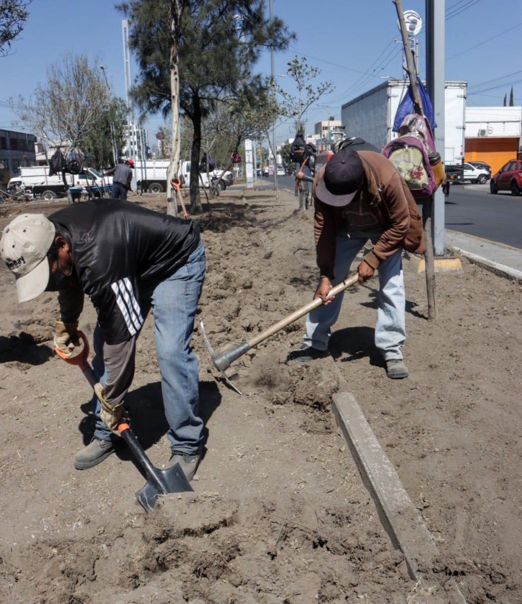 1679431632 647 ServiciosPublicos A fin de embellecer nuestras AreasVerdes y formentar