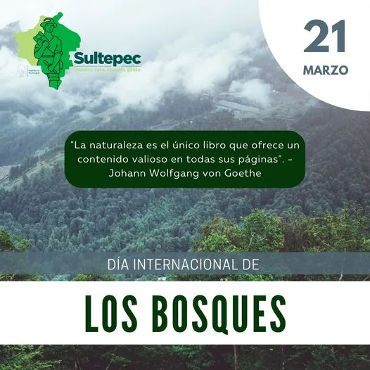 1679496336 Dia Internacional de los Bosques jpg