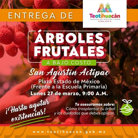 1679605547 Entrega de arboles frutales a bajo costo jpg