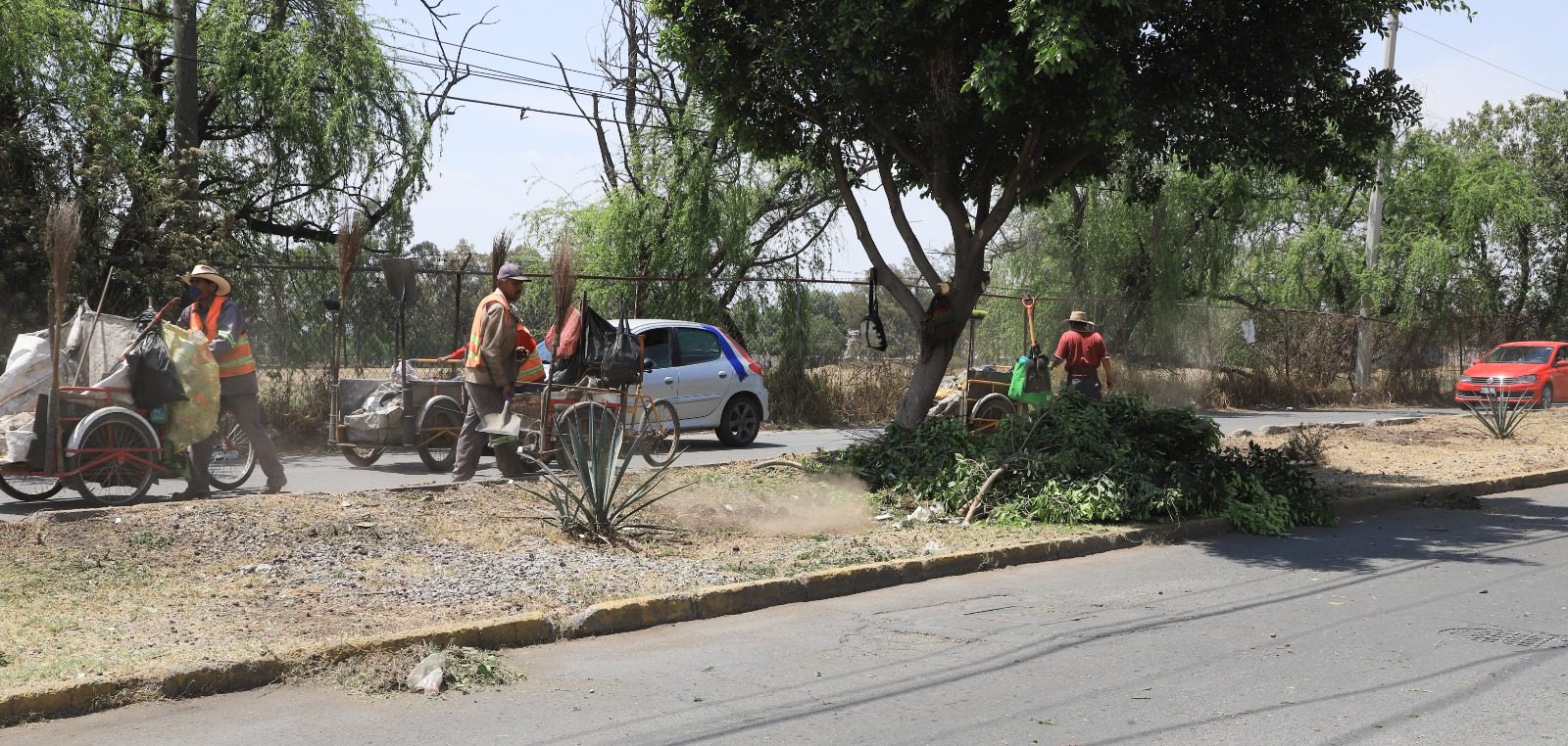 1679611695 941 En el fraccionamiento Santa Elena se realizan trabajos de limpia