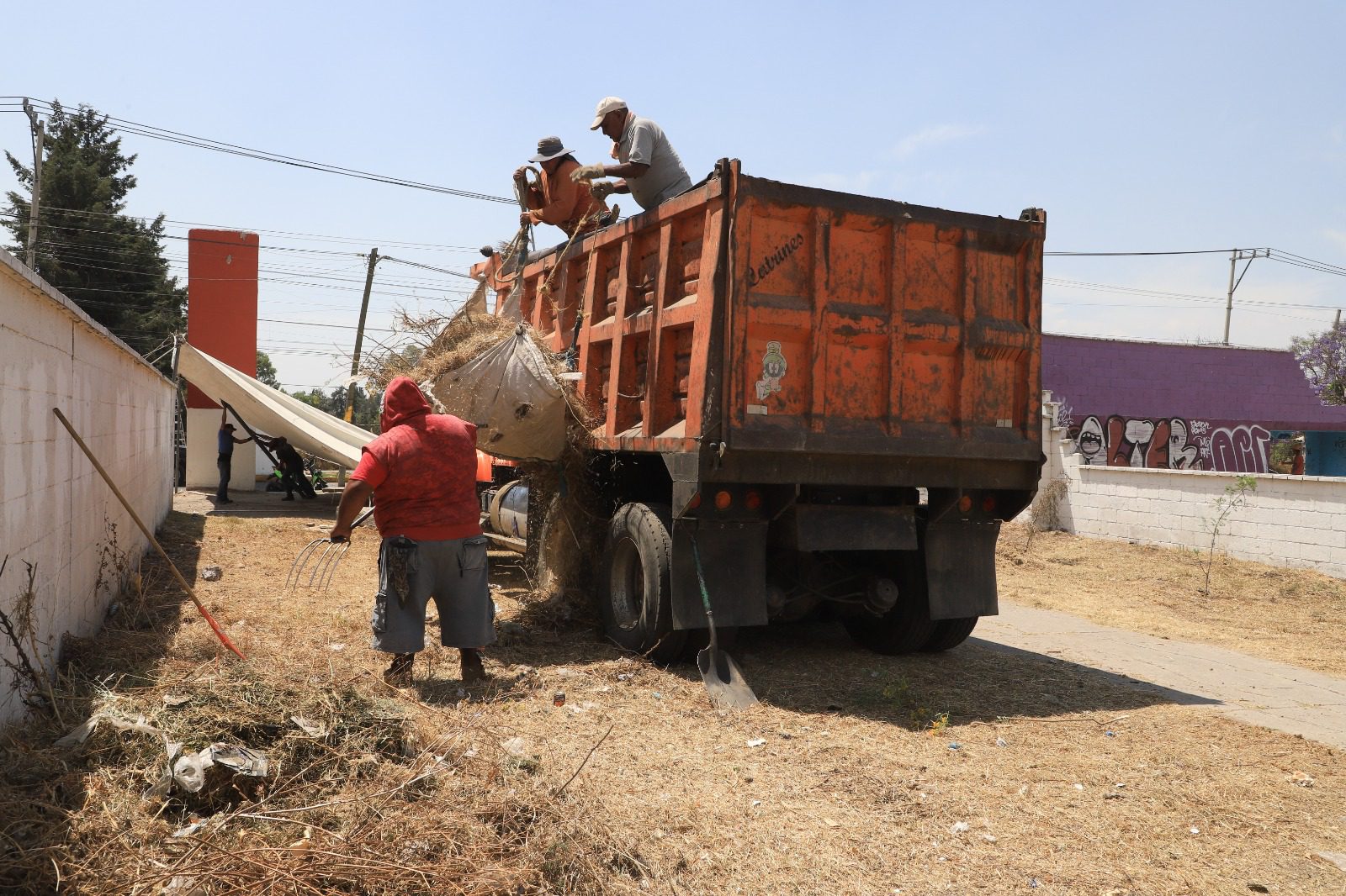 1679611704 819 En el fraccionamiento Santa Elena se realizan trabajos de limpia