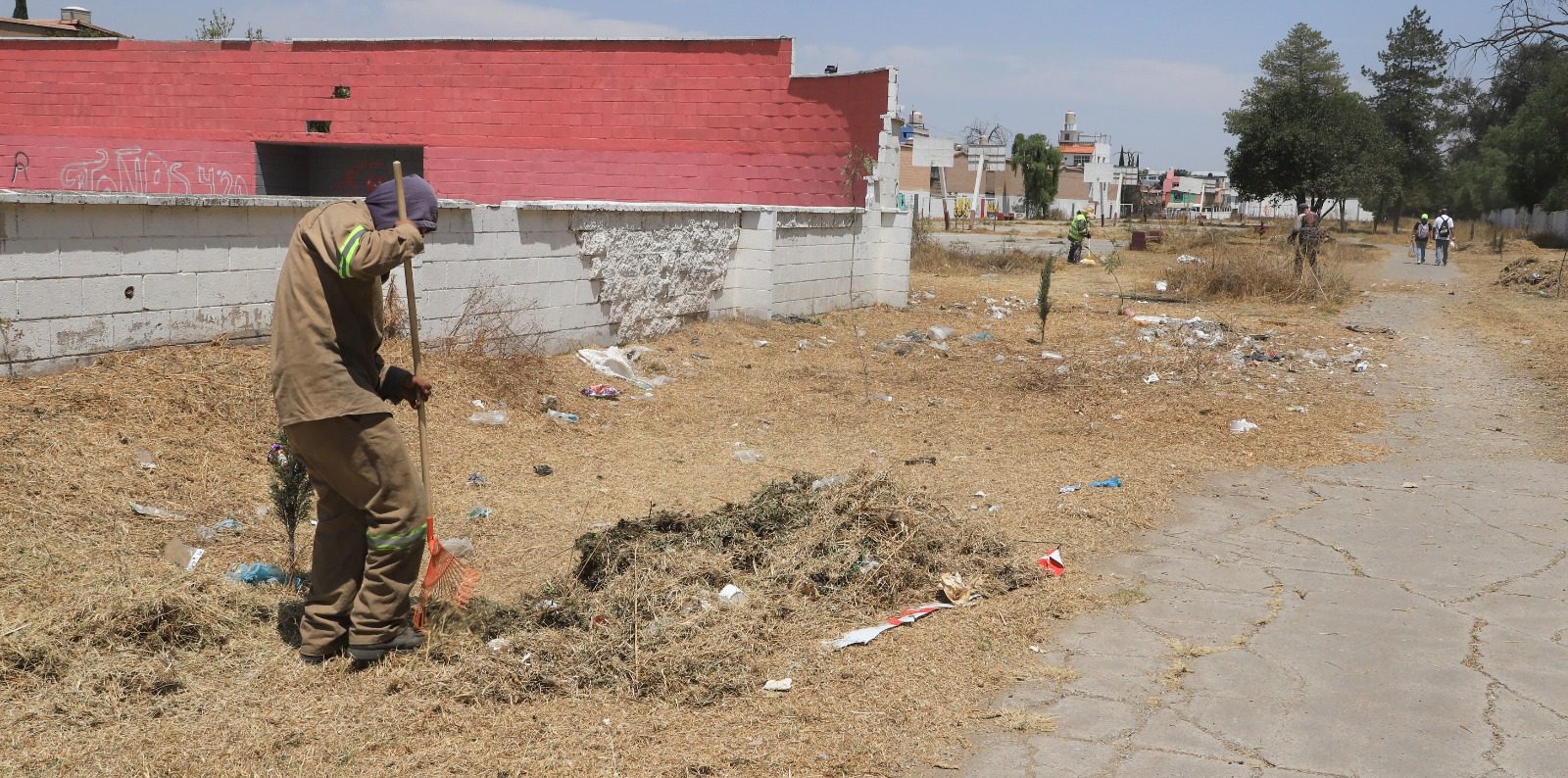 1679611709 484 En el fraccionamiento Santa Elena se realizan trabajos de limpia