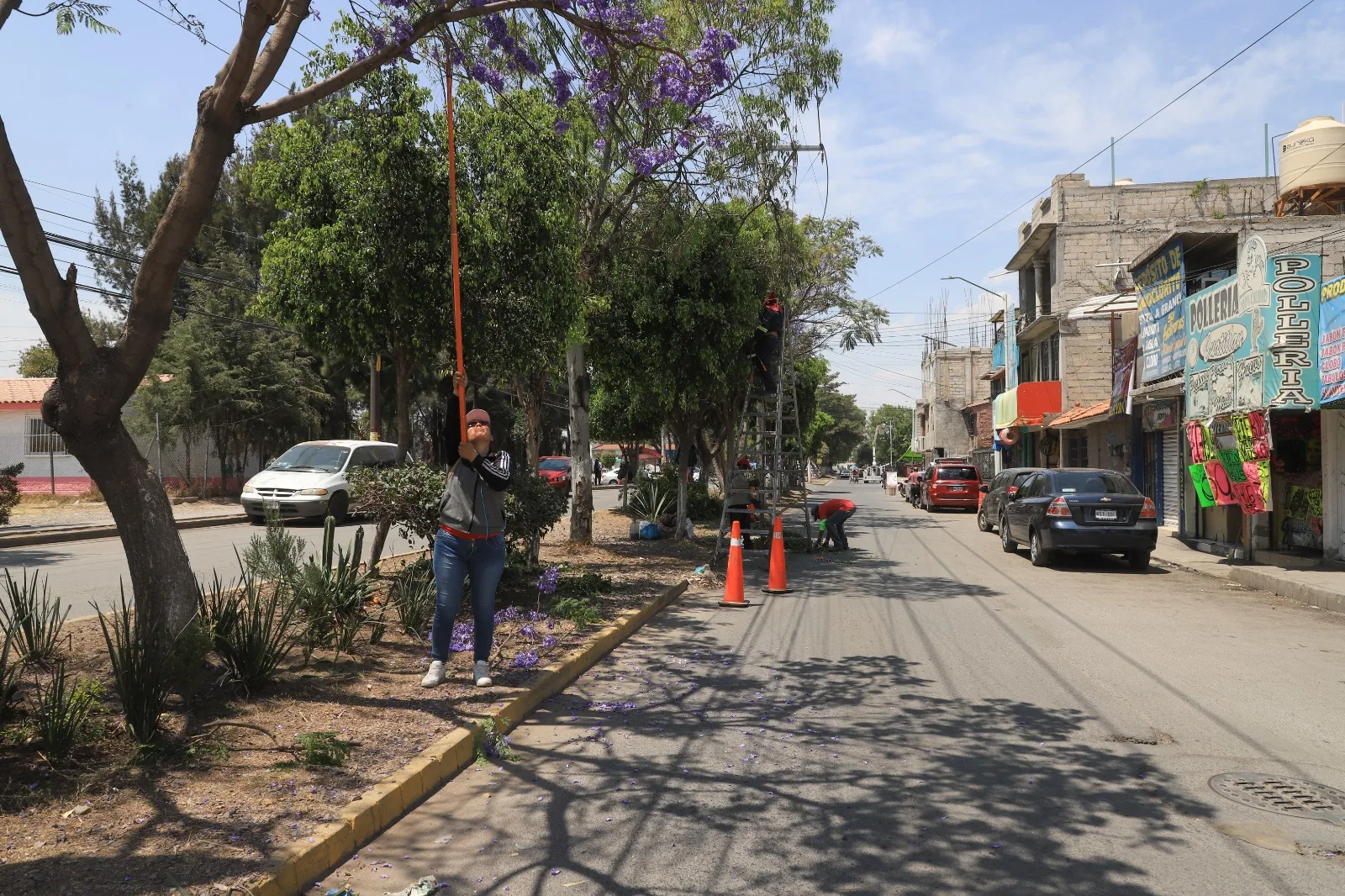 1679611821 En el fraccionamiento Santa Elena se realizan trabajos de limpia jpg