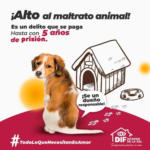 1679919703 ¡No mas maltrato animal Denuncia cualquier forma de maltrato que jpg