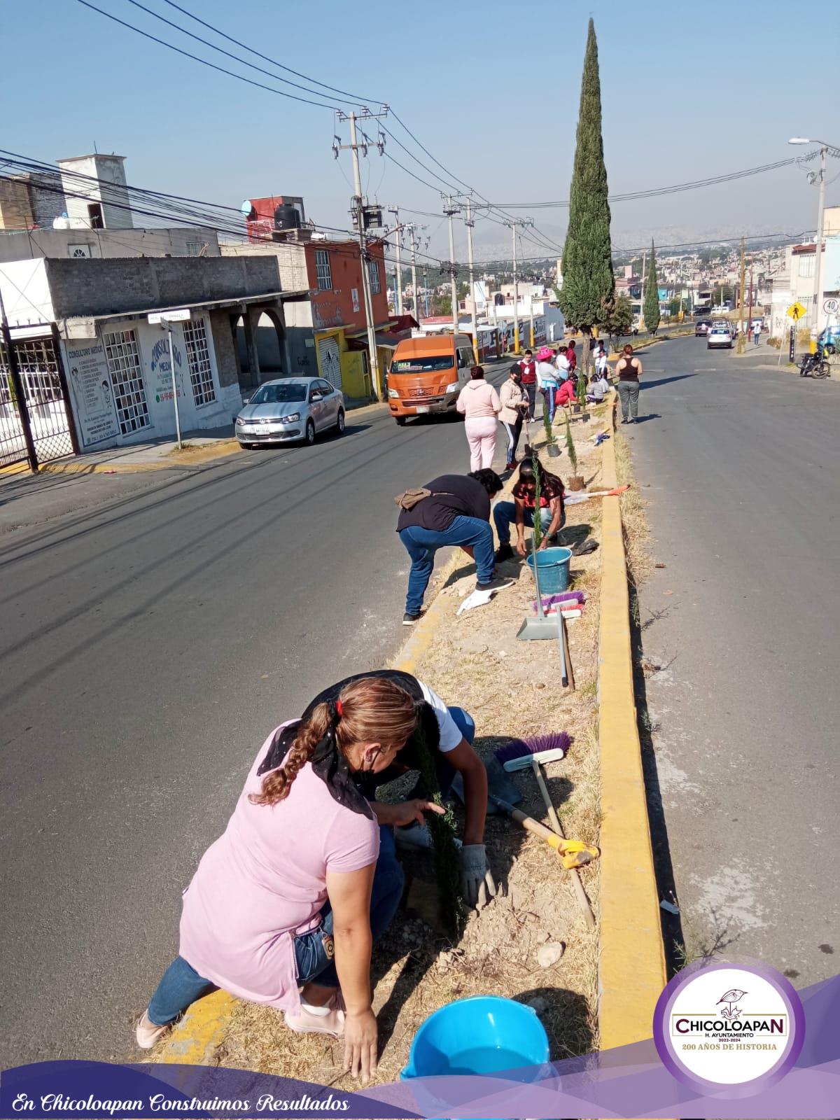 1679949558 774 La Coordinacion de Ecologia realiza el sembrado de 20 arboles