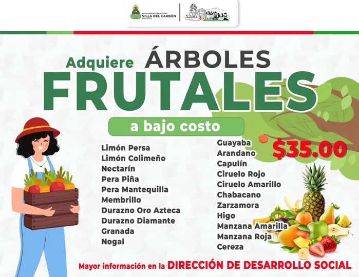 1679958288 Aprovecha los programas subsidiados de arboles frutales jpg