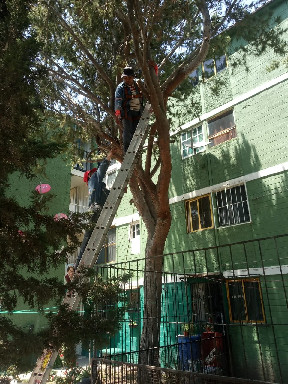 1680005358 873 El Gobierno Municipal de Jaltenco que preside la C Rosario