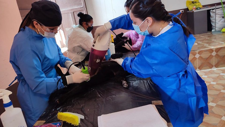 1680042191 346 Con exito se llevo a cabo la Jornada de Esterilizacion