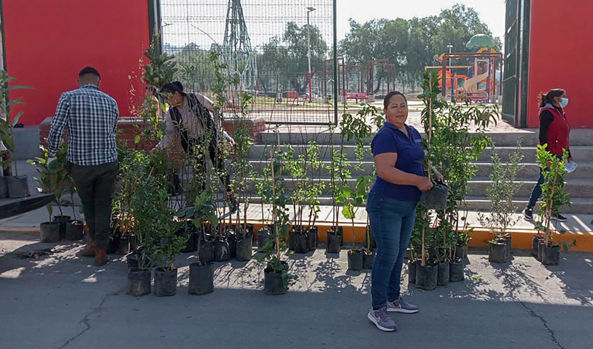 1680100335 859 Finalizamos la entrega de arboles frutales a bajo costo en