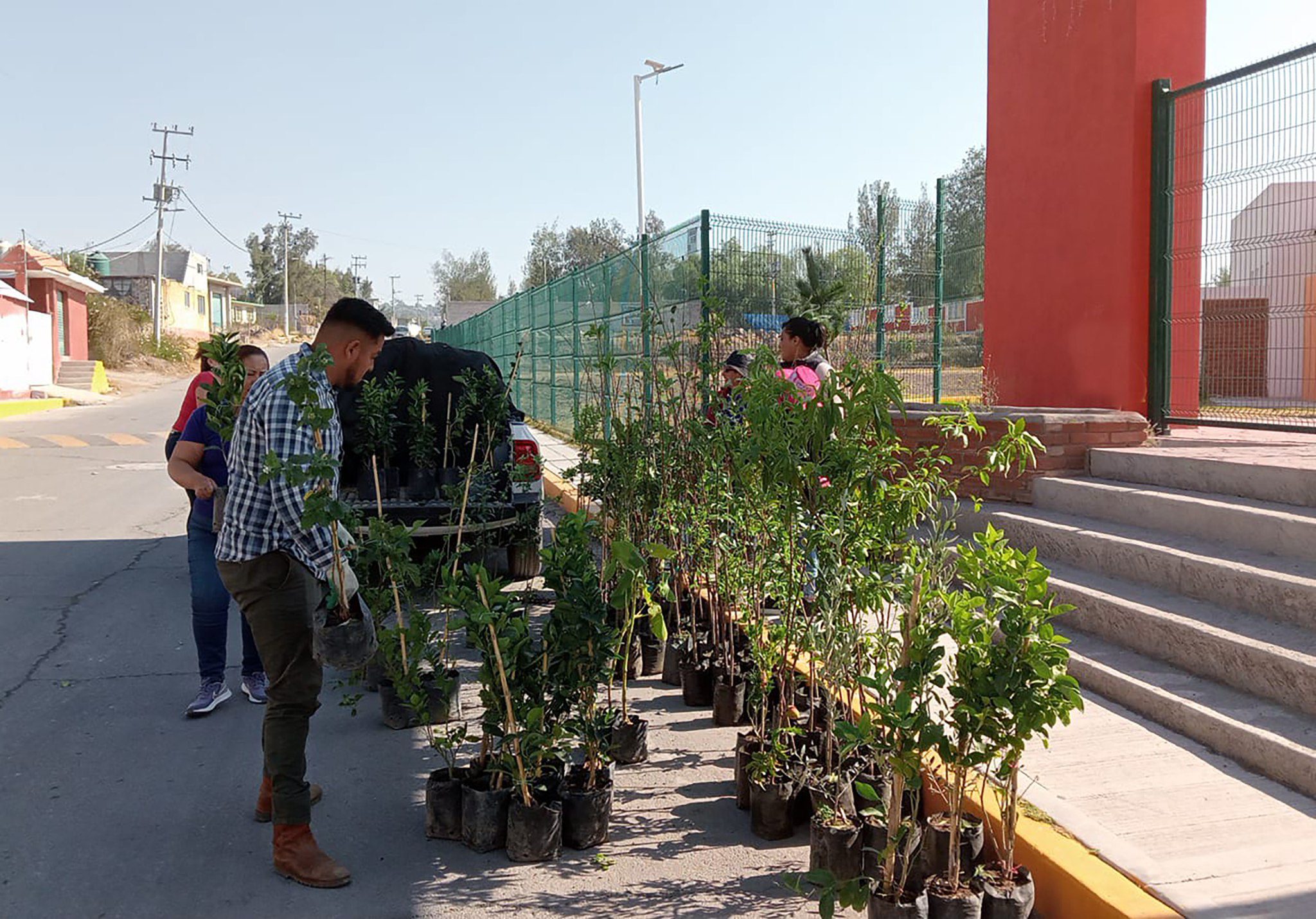 1680100343 190 Finalizamos la entrega de arboles frutales a bajo costo en