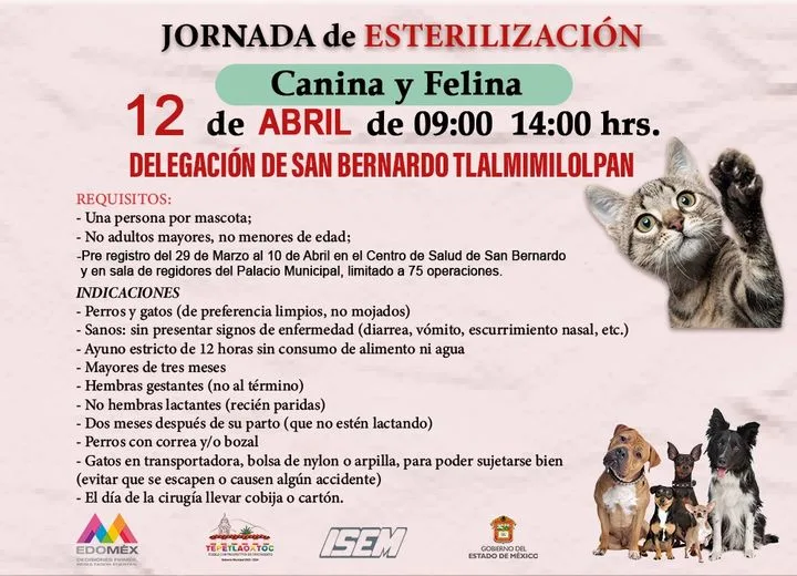 1680107750 Jornada de esterilizacion canina y felina jpg