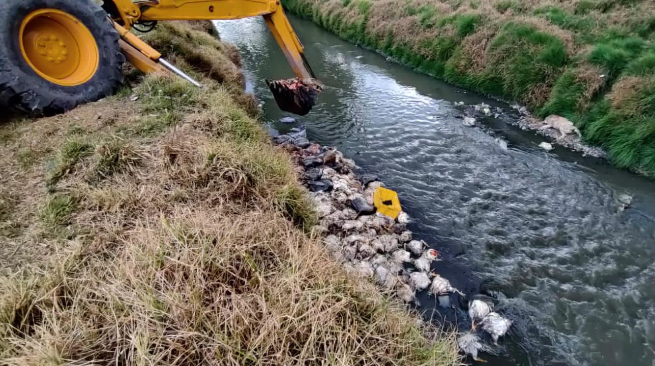 1680115038 111 Por indicaciones de nuestro Presidente Municipal Raymundo Martinez Carbajal e