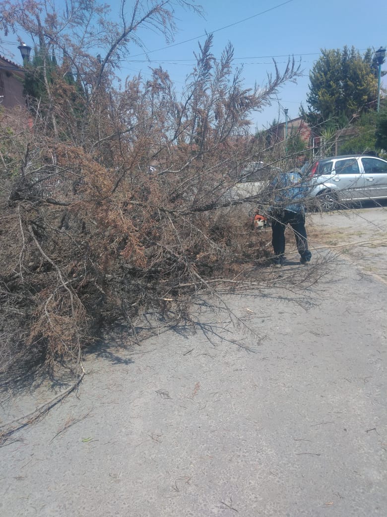 1680190877 955 El Gobierno Municipal de Jaltenco que preside la C Rosario