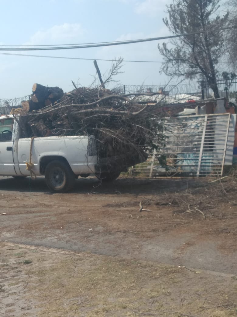 1680190885 567 El Gobierno Municipal de Jaltenco que preside la C Rosario