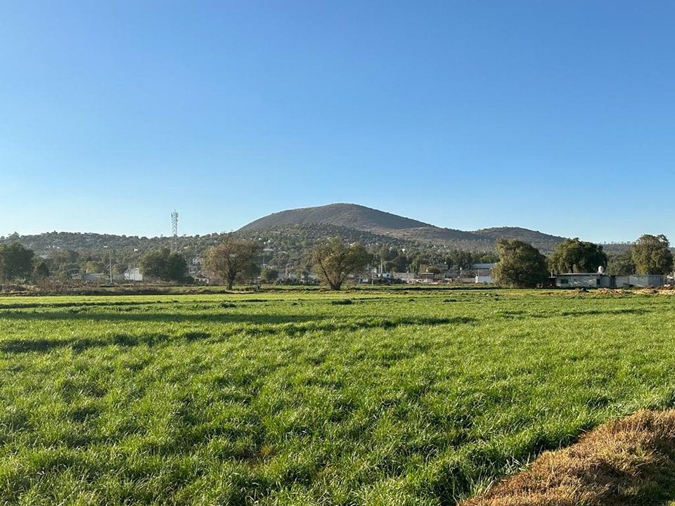 1680192986 148 Flora de Zumpango El paisaje es predominantemente arido y prevalece