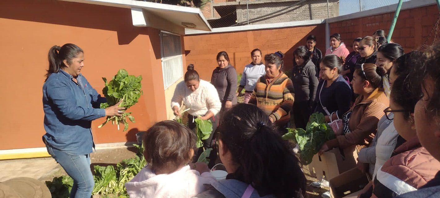 1680212414 119 El Ayuntamiento de Texcoco cosecha el huerto escolar de la