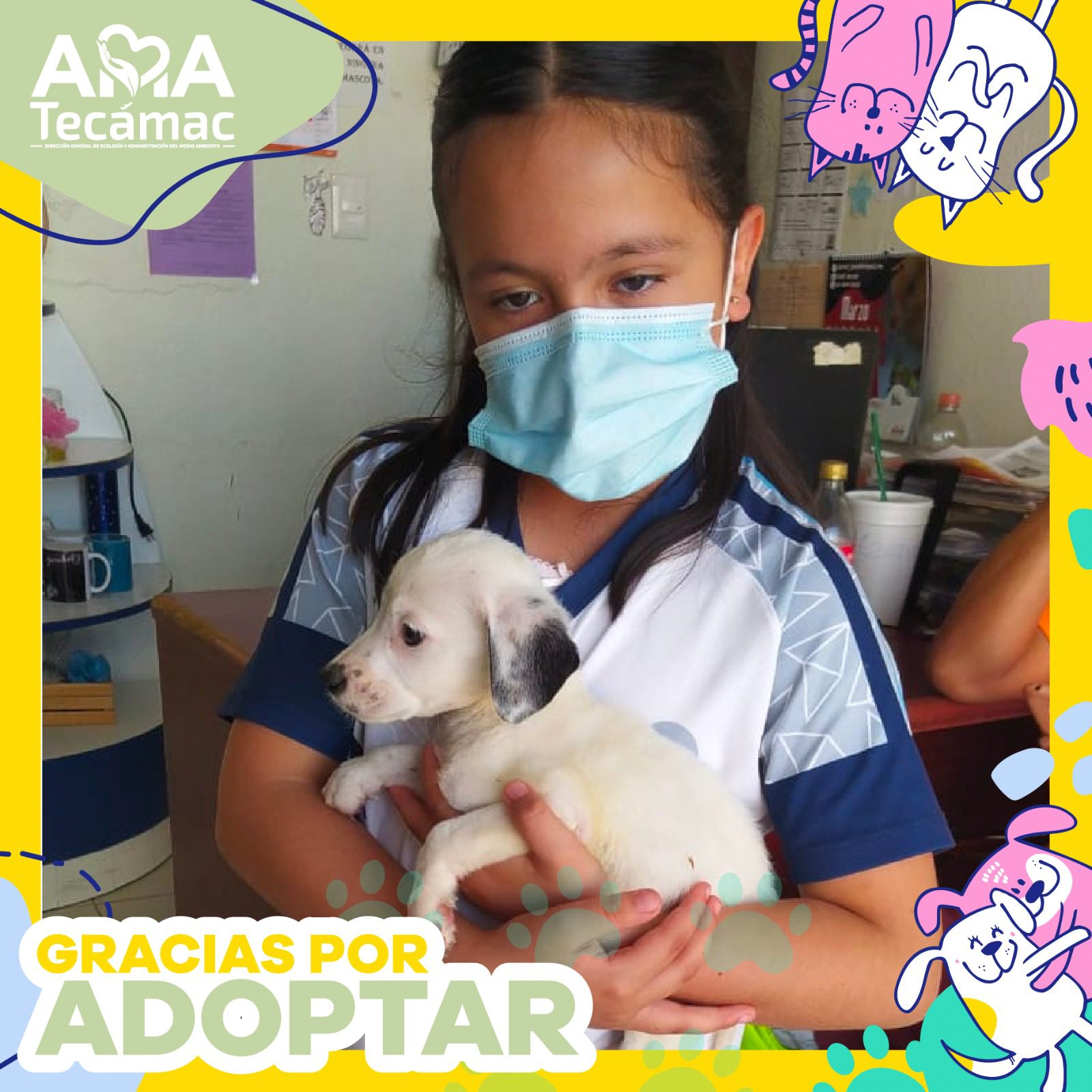 1680288256 364 Adoptar es un acto de amor de responsabilidad y compromiso