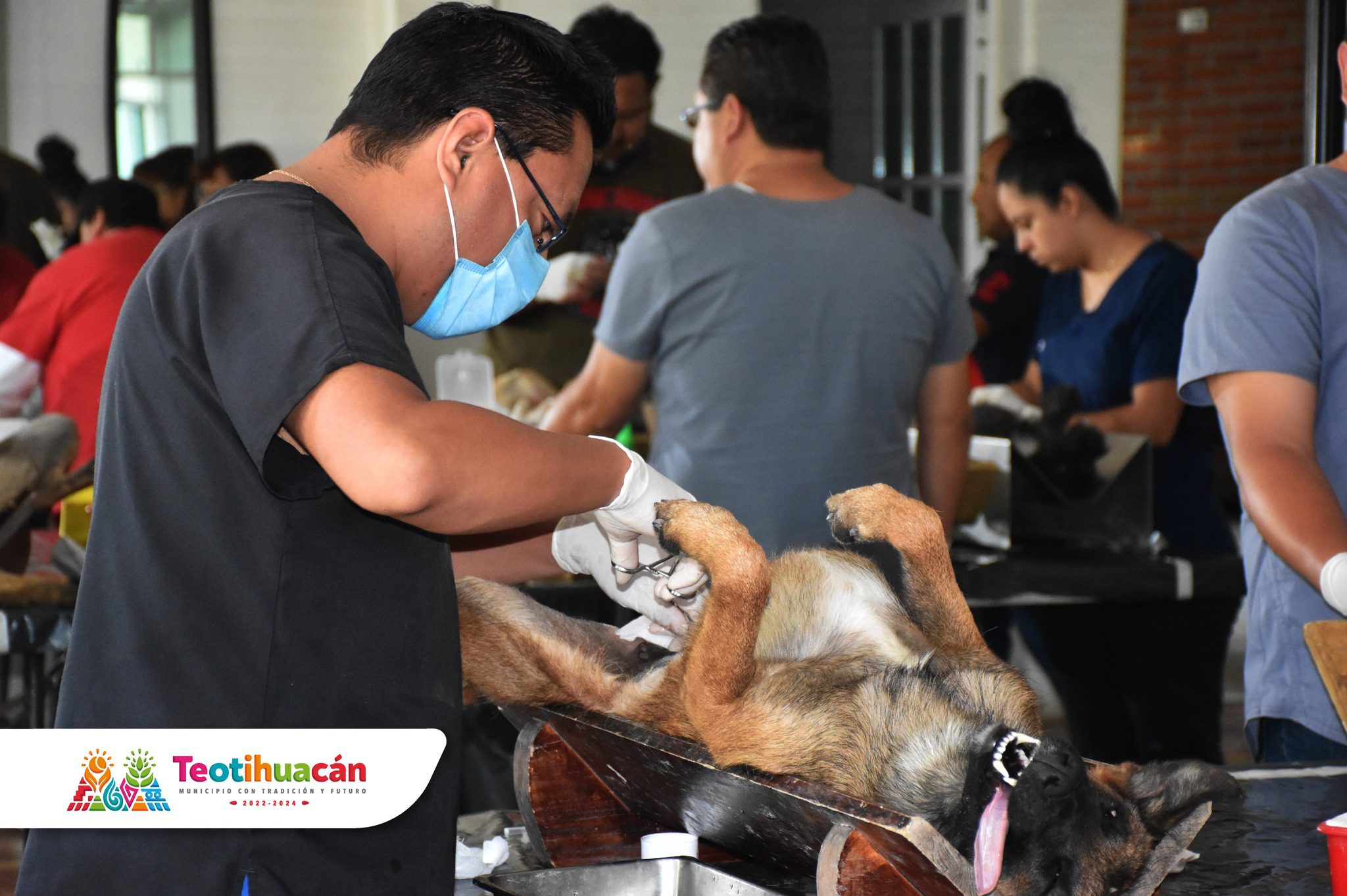 1680295823 774 Dimos por finalizada la jornada de esterilizacion gratuita en la