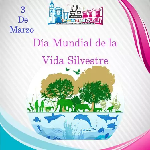 3 de Marzo Dia Mundial de la Vida Silvestre jpg