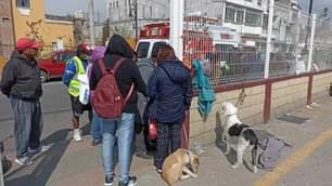 Comenzamos con la jornada de esterilizacion canina y feliz en