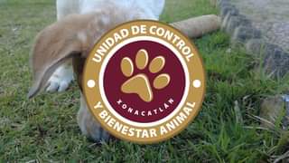 Como parte del PROGRAMA DE CONTROL Y BIENESTAR ANIMAL