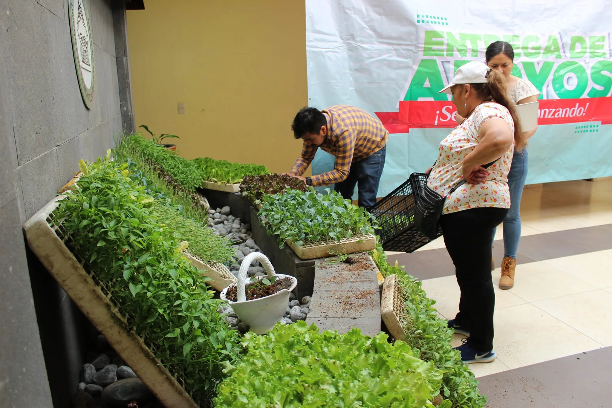 Con el fin de fomentar la agricultura en el municipio jpg