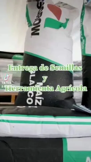 Con este programa municipal se han beneficiado a mas de jpg