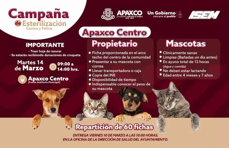 EN APAXCO CENTRO ESTERILIZACION CANINA Y FELINA jpg