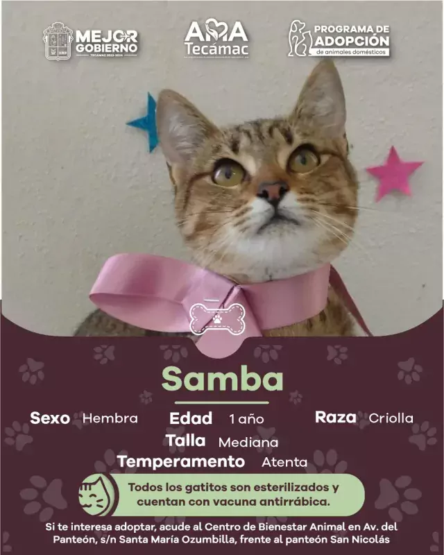 En Tecamac promovemos la AdopcionResponsable jpg