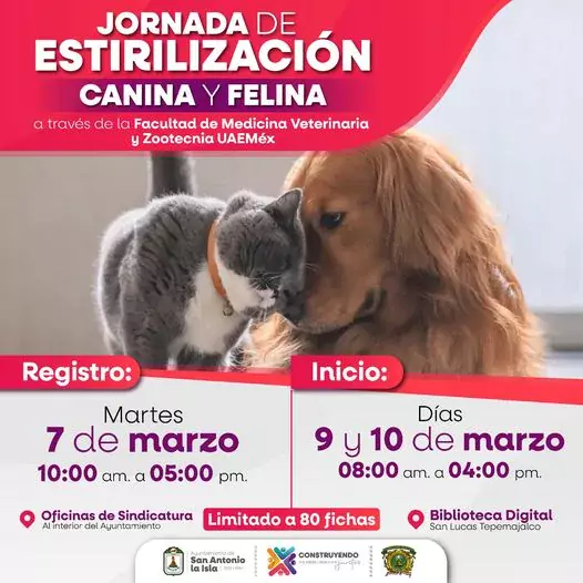 Enterate Tendremos esterilizacion para felinos y caninos machos y jpg